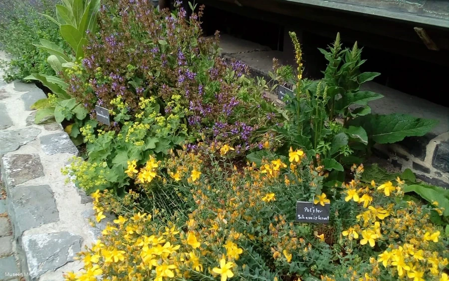 Kräuterbeet Kräuterbeet