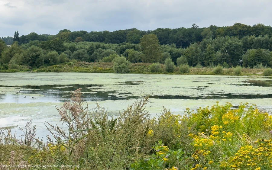 Menden Oeseteiche