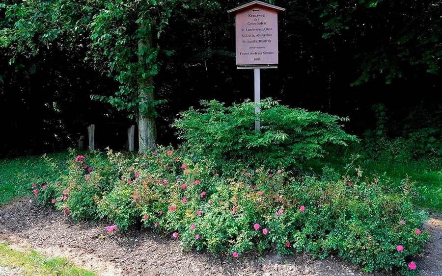 Beginn des Kreuzweges in Affeln Beginn des Kreuzweges in Affeln