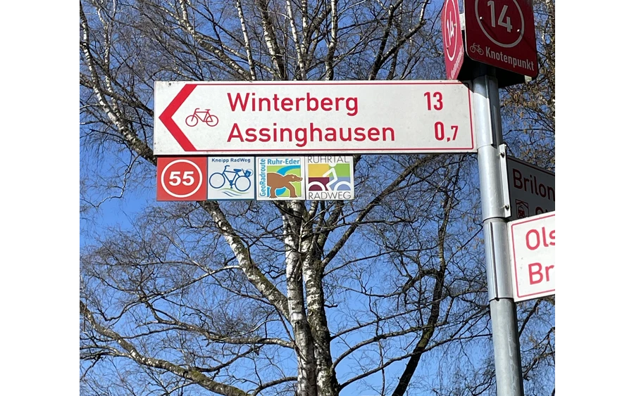 18_Beschilderungskataster_Wegweiser-Winterberg-Assinghausen_493542.jpeg