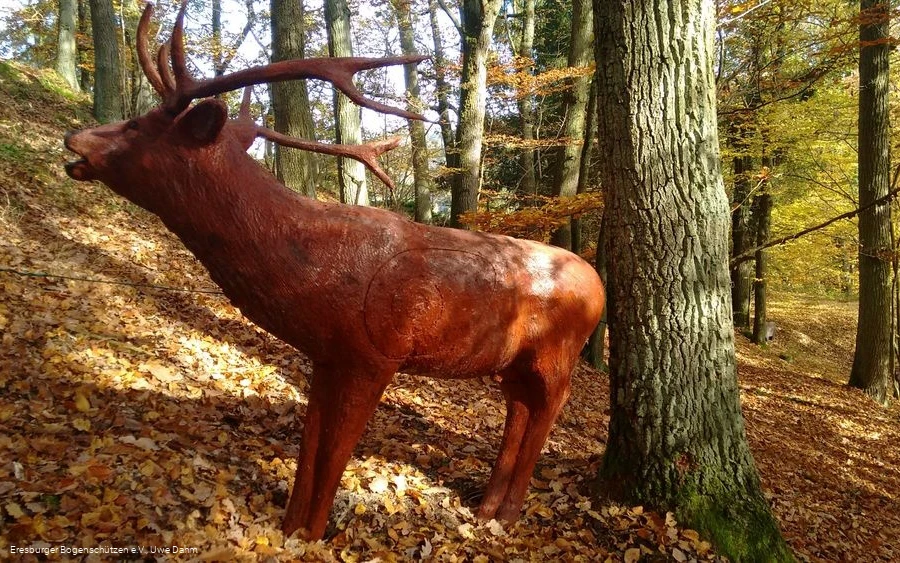 Bogenparcours Marsberg