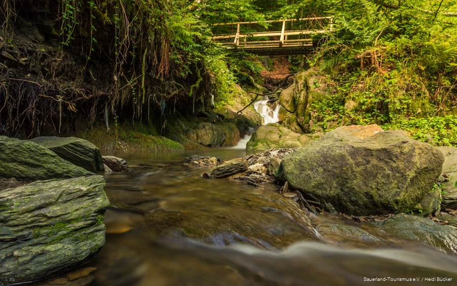 Gorge and bridge trail The 4.1-kilometer gorge and bridge trail in Winterberg is a real highlight.