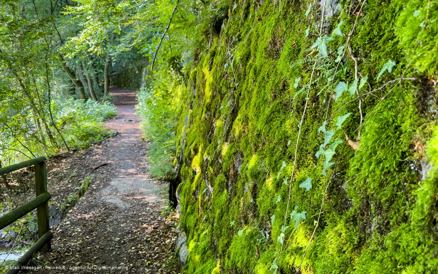Zuweg Sauerlandroute 2