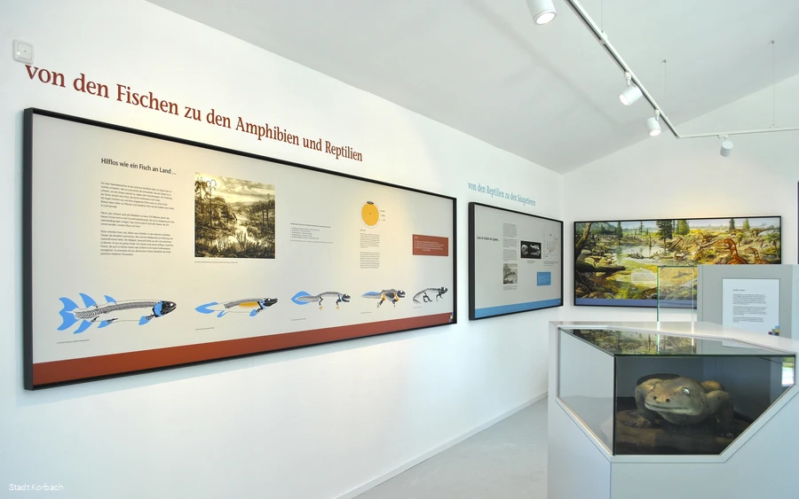 Dachgeschoss Kalkturm