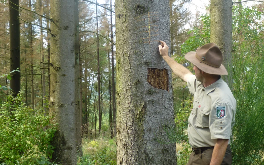 Ranger Matthias am Haubergspfad