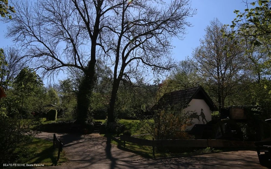 Mühle gesamt