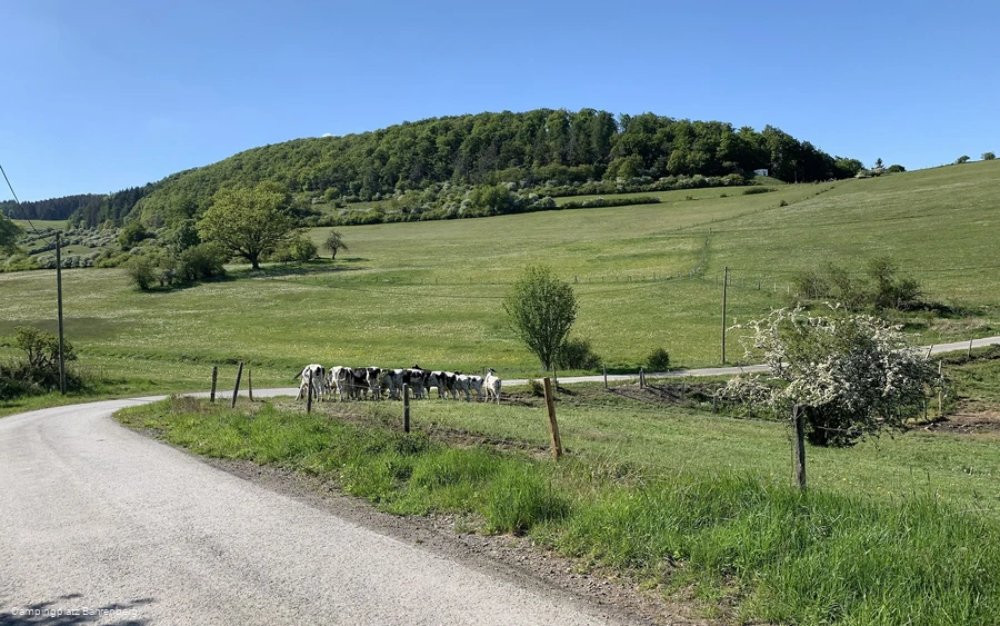 Uplandsteig am Campingplatz Bahrenberg.jpg