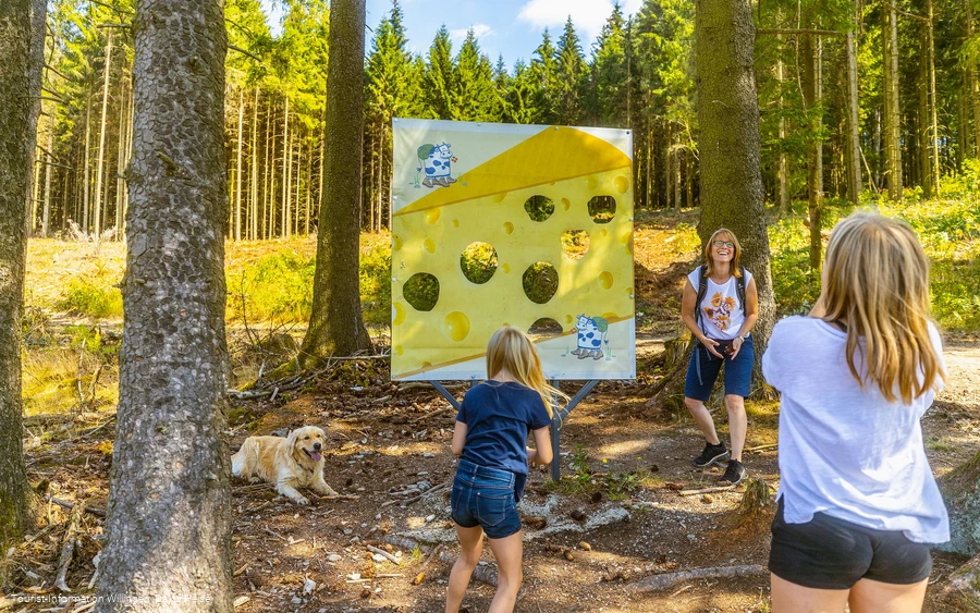 Zapfenwurf an der Käsewand am Milch-Erlebnispfad Usseln