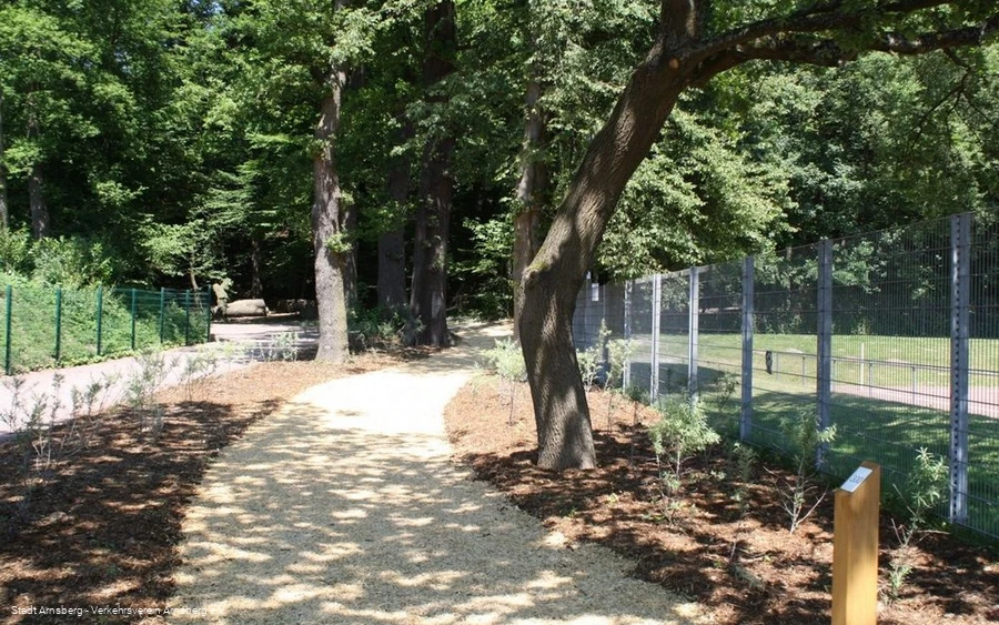 Finnenbahn Finnenbahn