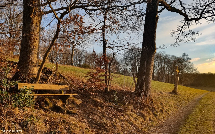 Scheuerpfahl Wegweiser