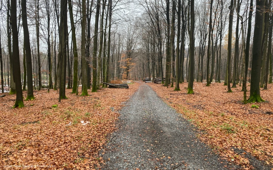 Forstweg