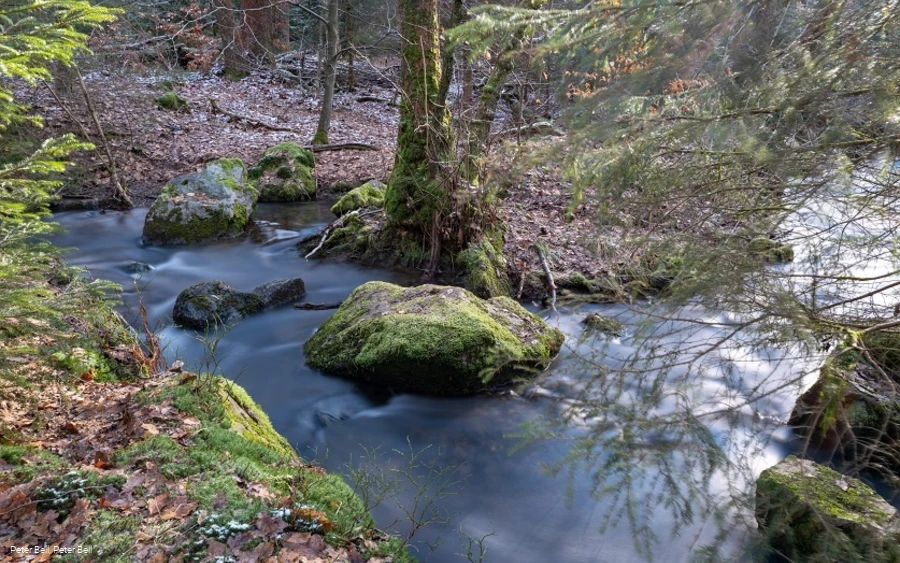 Die wilde Ennepe im Naturschutzgebiet