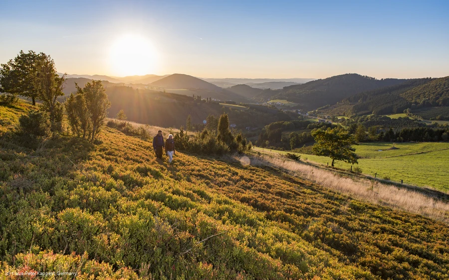 Wandern in und um Westfeld - mit dem Kahler Asten-Steig, dem Antoniussteig und dem Schwedensteig gibt es hier eine Fuelle an Qualitaetswegen