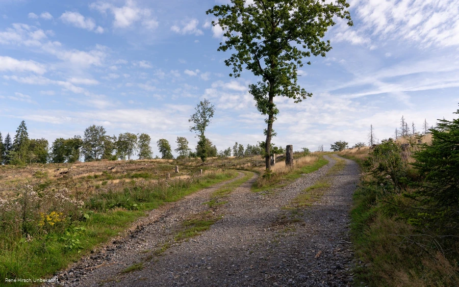 Rahrbach am Wolfhardt