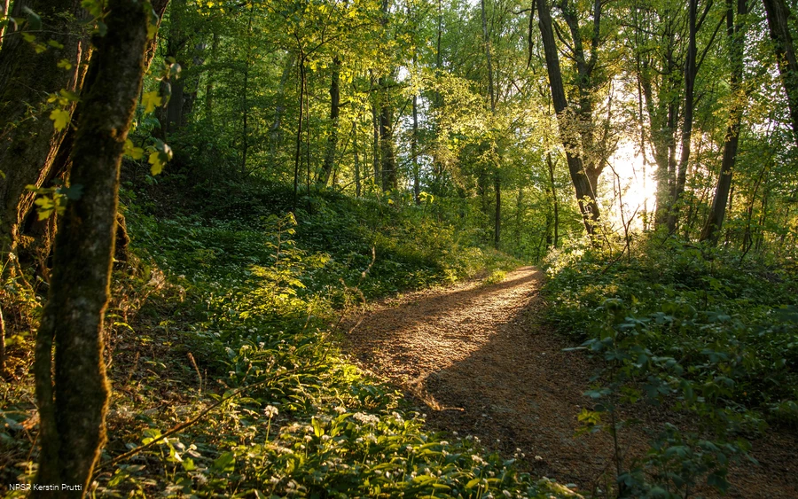 Soul place hike.png Soul place hike.png