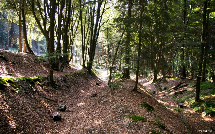 The Schlüsenpfad near Drolshagen