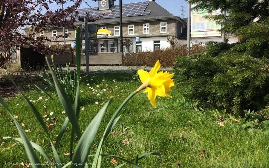 Frühling am Bahnhof in Bestwig