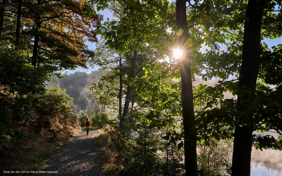 Jubachtalsperre - Wanderweg