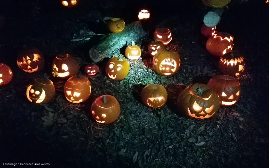 Kürbisleuchten NaturRanger e.V.