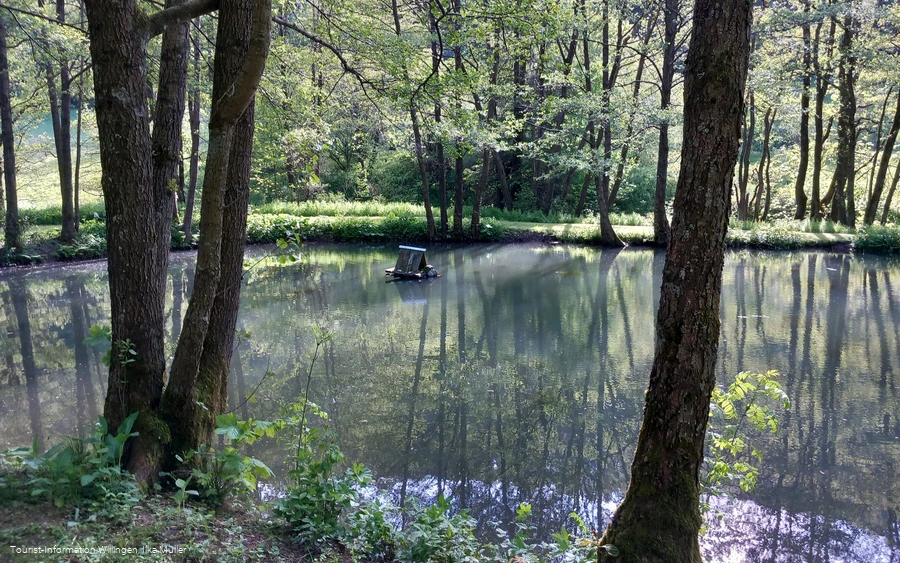 Teich an der Grillstation Schwalefeld