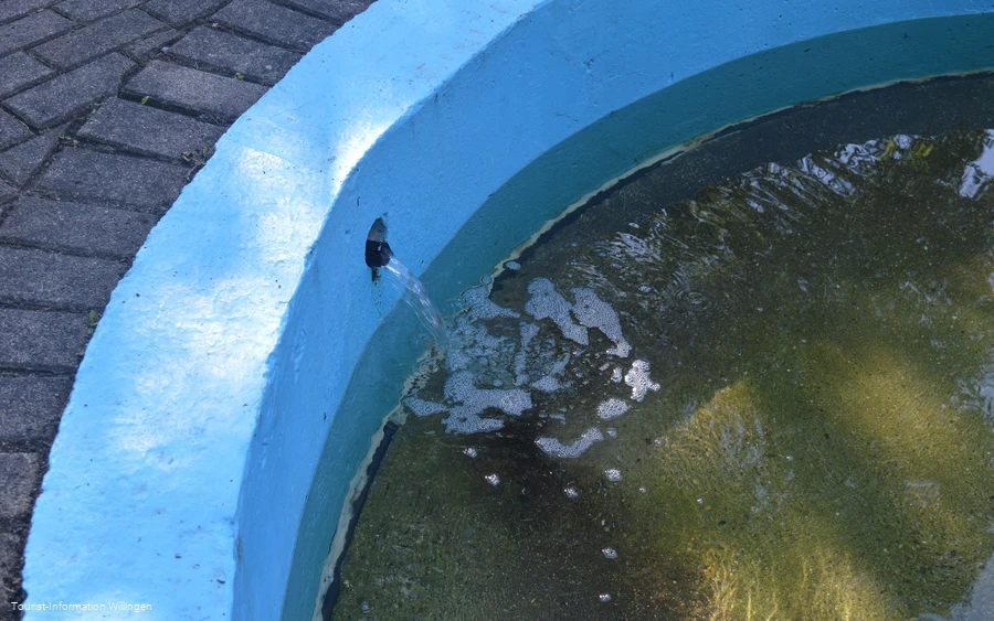 kneippanlage-rattlar4 c) tourist-information-willingen.jpg