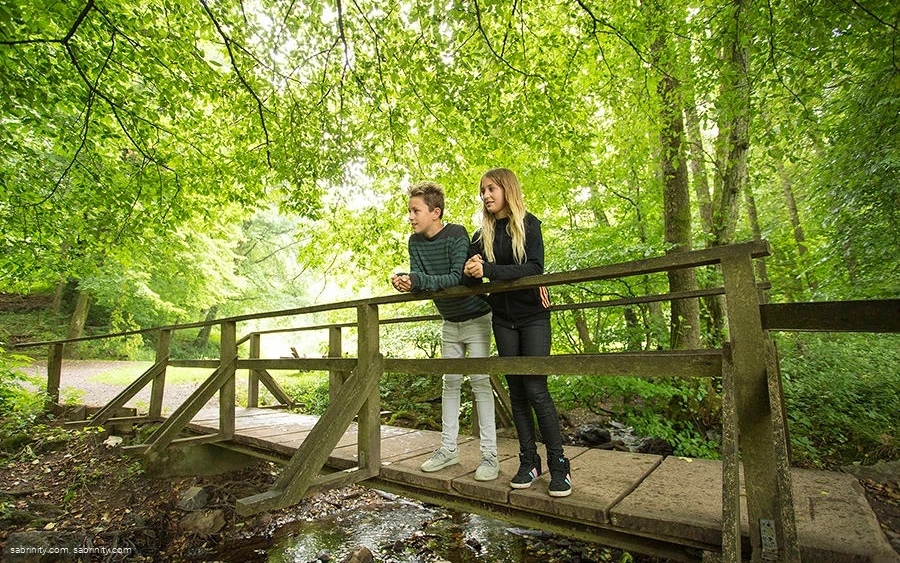 Brücke im Park Brücke im Park