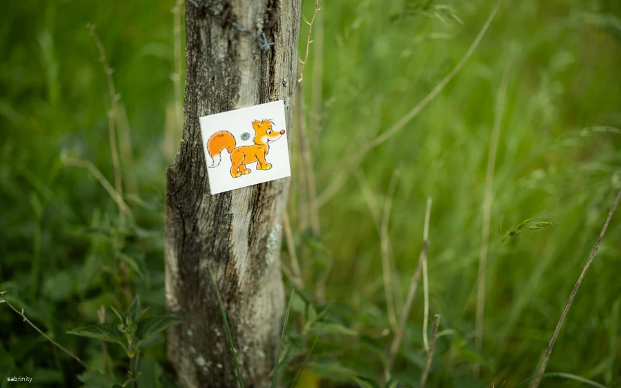 Sabrinity_BWT25_303.jpg Sabrinity_BWT25_303.jpg