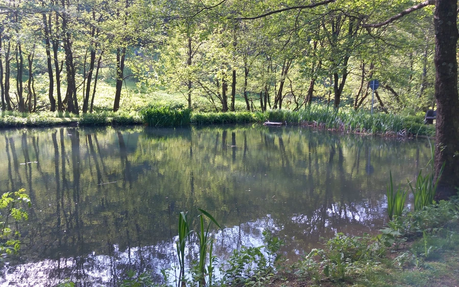 Teich-Grillstation-Schwalefeld.jpg