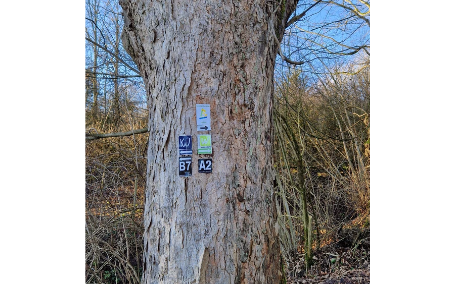 Auf dem BestWeg Nuttlar