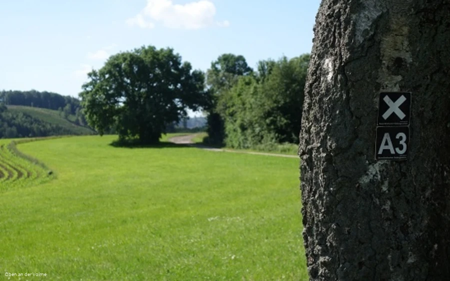 Der Wanderweg bei dem Sagenort