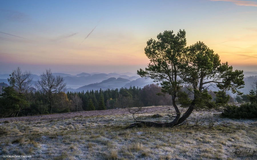 osterkopf-vor-sonnenaufgang_c__klaus-peter-kappest-sauerland-wanderdoerfer.jpg