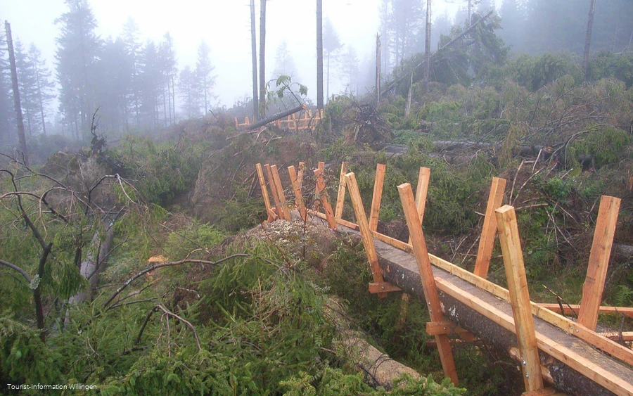 kyrillpfad-ettelsberg.jpg