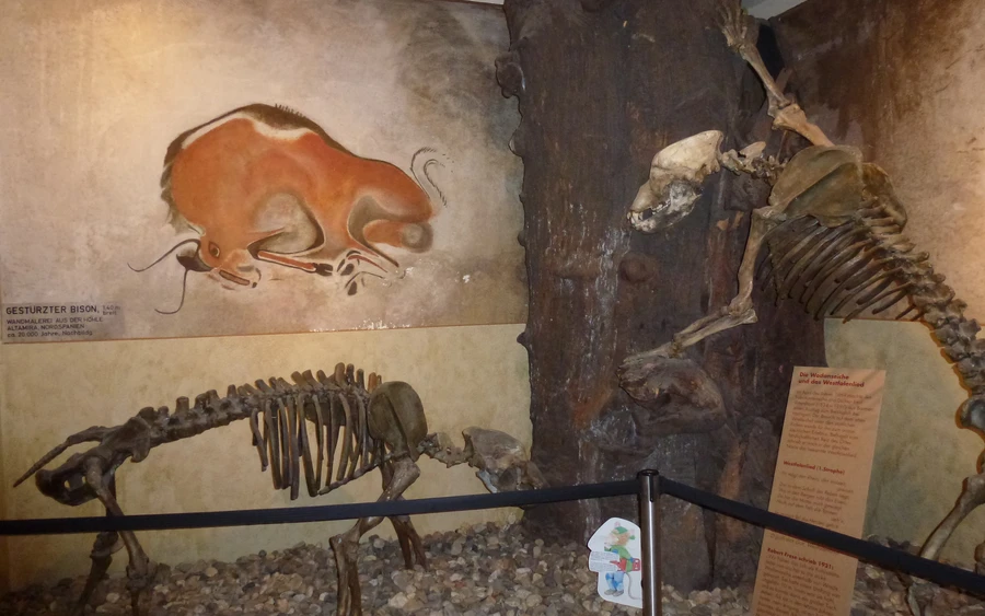 Museum Menden