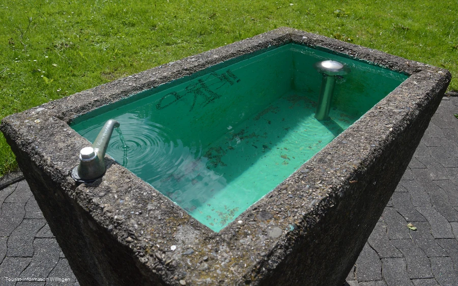 kneippanlage-diemeltal4 c) tourist-information-willingen.jpg