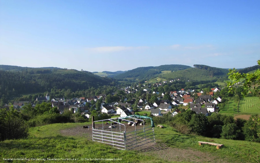 Blick vom Gipfelkreuz auf die Steinert mit den Ziegen und auf Allendorf
