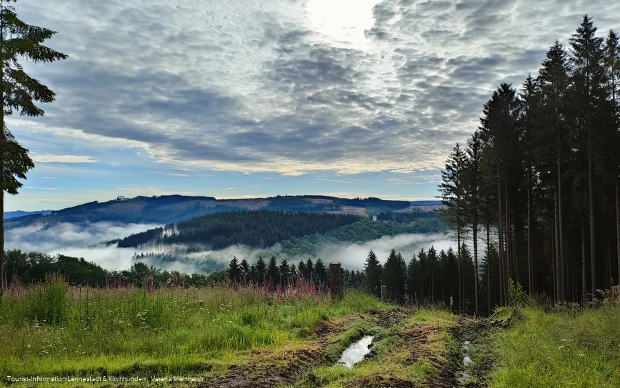 Ausblick von der Kophelle