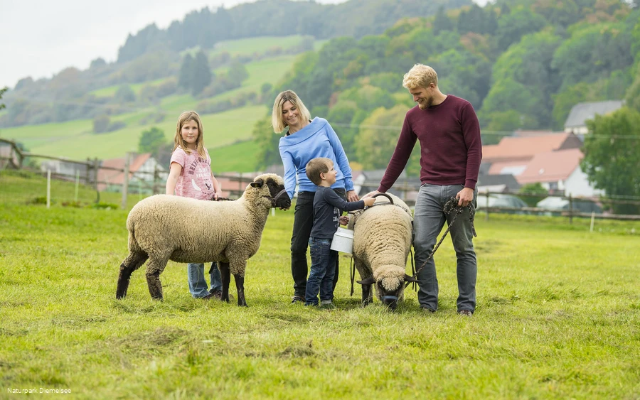 Familie mit Schafen auf dem Familienbauernhof Fass