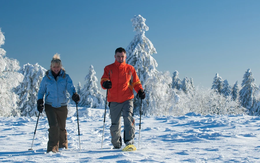 Schneeschuhwanderung (Schmallenberger Sauerland Tourismus - Klaus-Peter Kappest).jpg