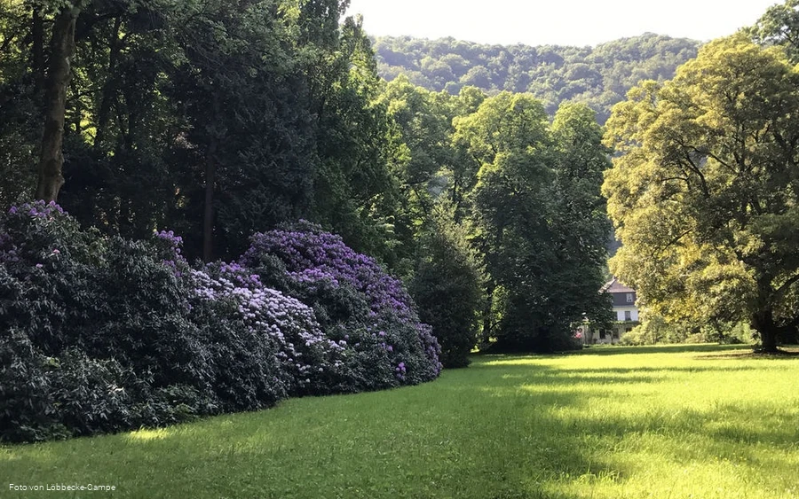 Park