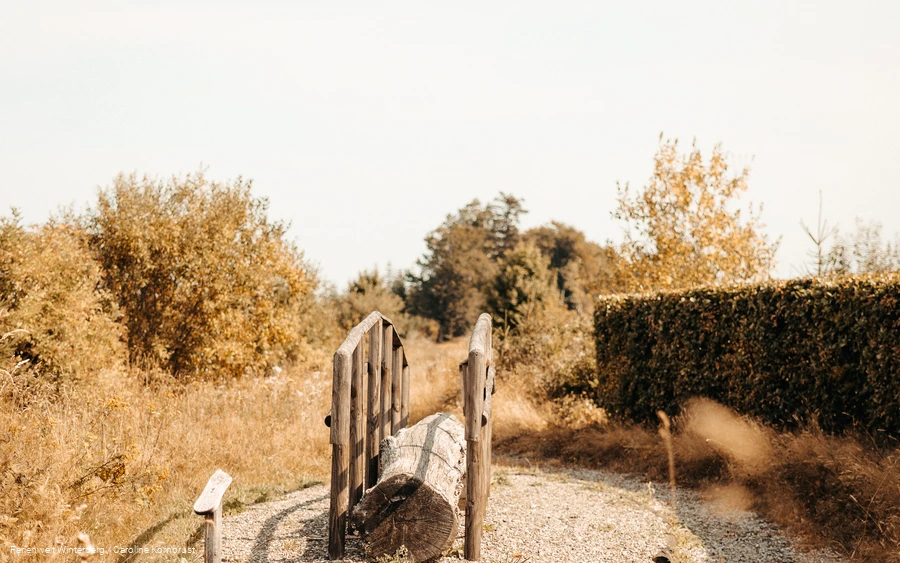 Ferienwelt Winterberg_2022_Herbst_Carography (141).jpg