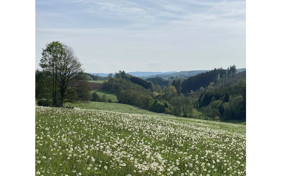 Fernsicht auf dem A2