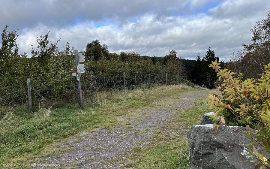 Die höchsten Lagen des Uplandsteigs