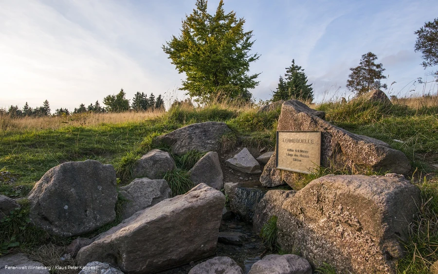 FerienweltWinterberg_2017_Altastenberg_Kahler Asten Lennequelle Heidelandschaft SommerHerbst (86)_(low)_Klaus-Peter Kappest.jpg