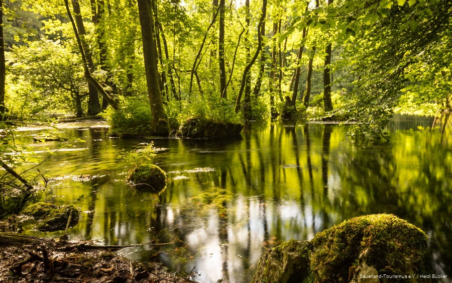 Die Almequellen mit ihrer Mystik sind ein ganz besonderes Ziel für einen Ausflug.