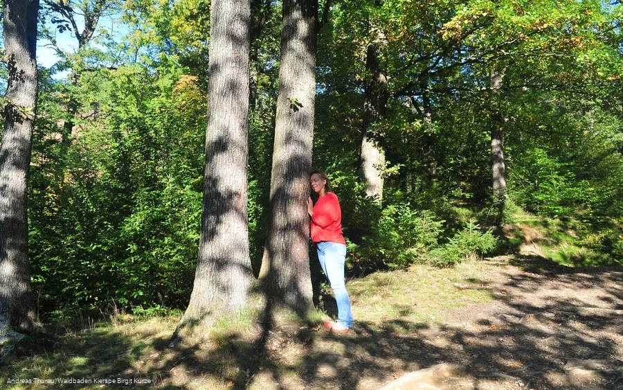 Entspannung pur beim Waldbaden