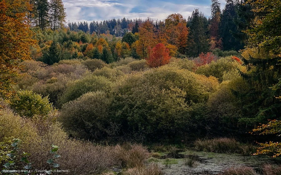 Herbstlandschaft im Edertal auf dem Rothaarsteig