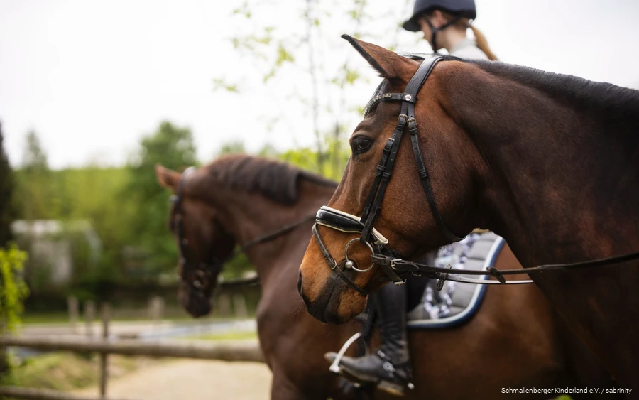 Twee ruiters met hun paarden.