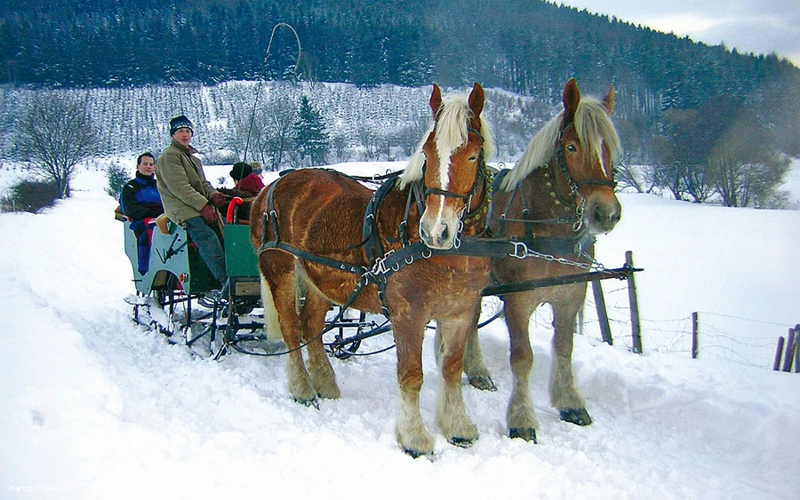 Schnee-Kutschfahrt-heller.jpg