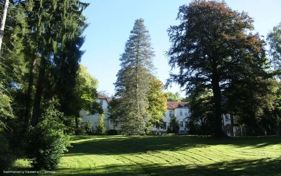 Baumbestand