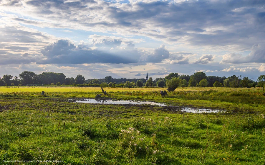 Naturschutz- und Moorabbaugebiet Woeste - Bad Sassendorf